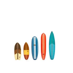 5 aimants surf