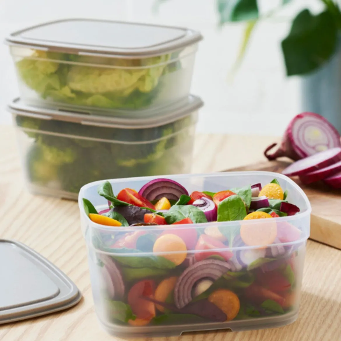 Boîte alimentaire à base de canne à sucre bio 1 Litre