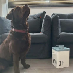 Boîte à croquettes pour chien en métal avec pelle