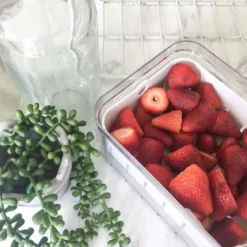 Boîte de conservation des fruits rouges