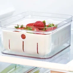 Boîte de conservation des fruits rouges