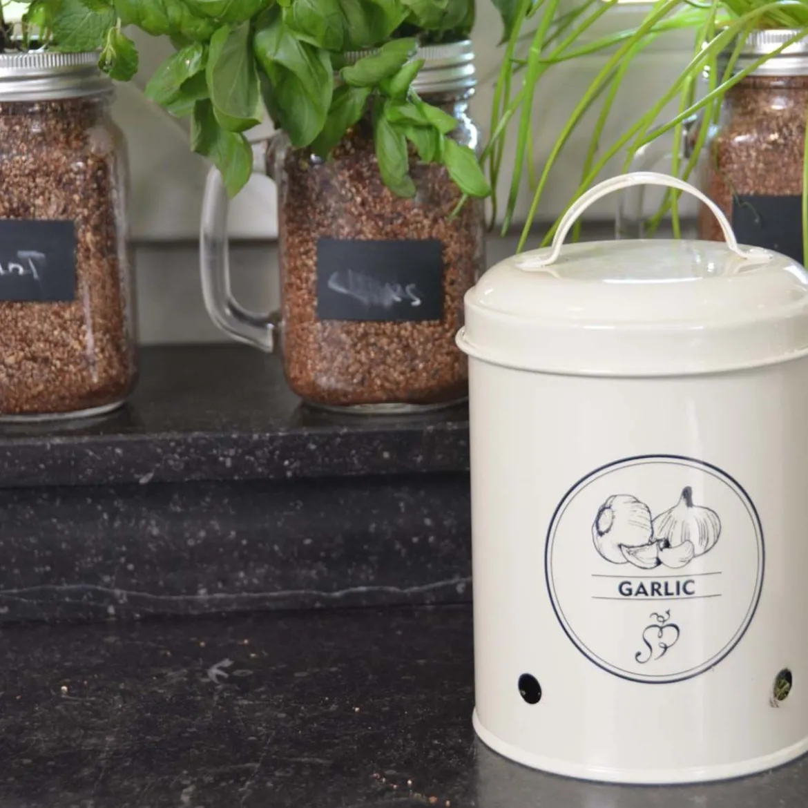 Boîte de conservation pour ail