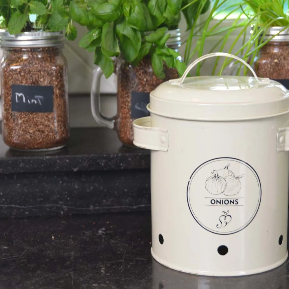 Boîte de conservation pour oignons