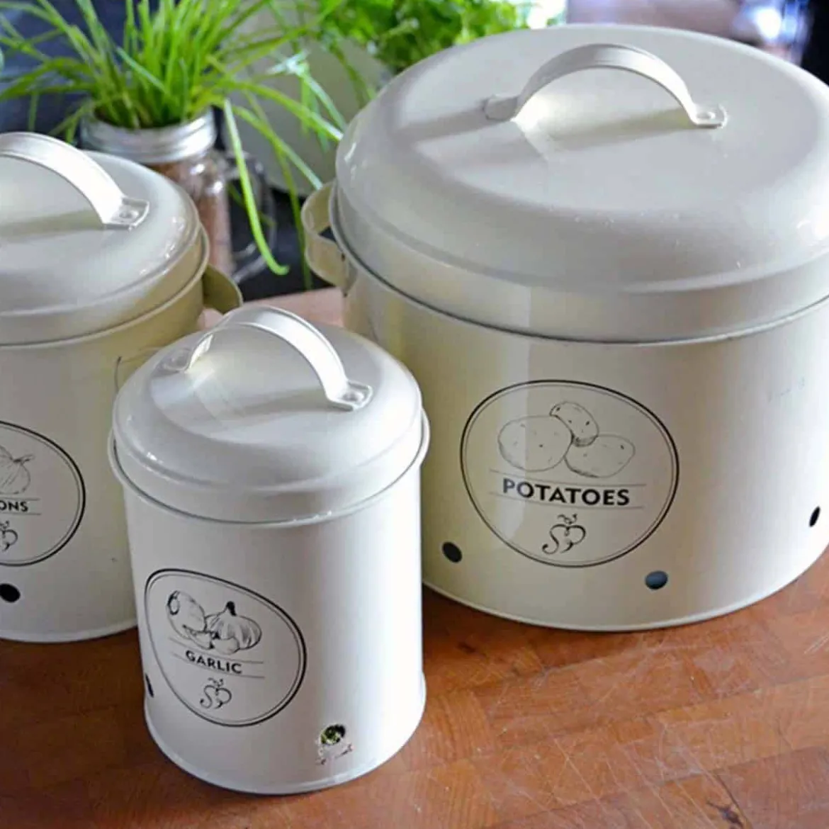 Boîte de conservation pour oignons