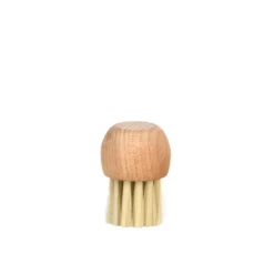 Brosse à champignons