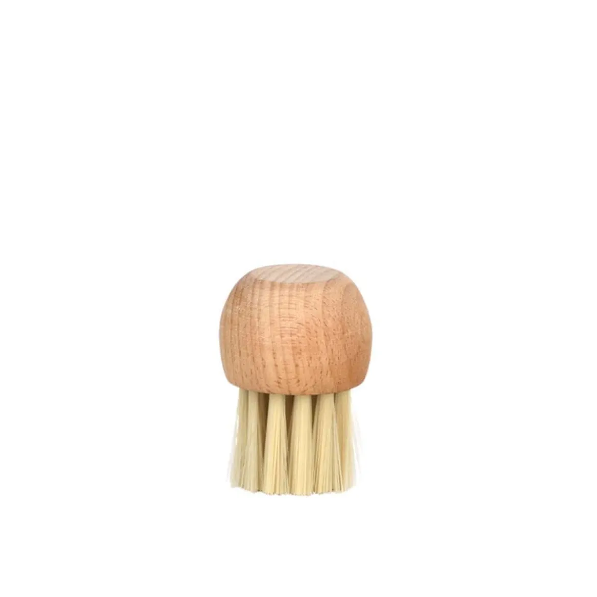 Brosse à champignons