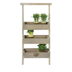 Etagère à plantes échelle