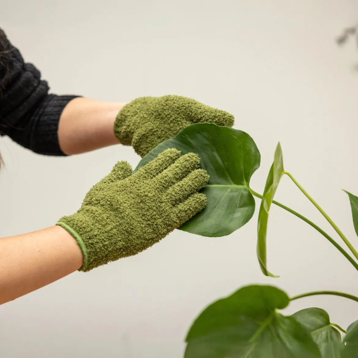 Gants de nettoyage pour feuilles de plantes