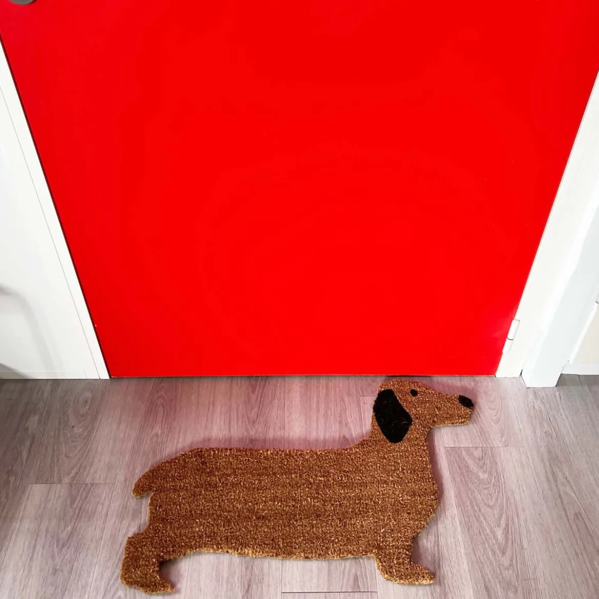 Paillasson chien