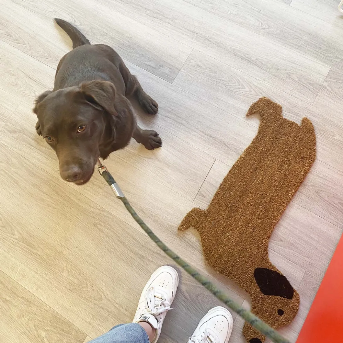 Paillasson chien