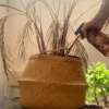 Pulvérisateur en verre 500 ml pour plantes