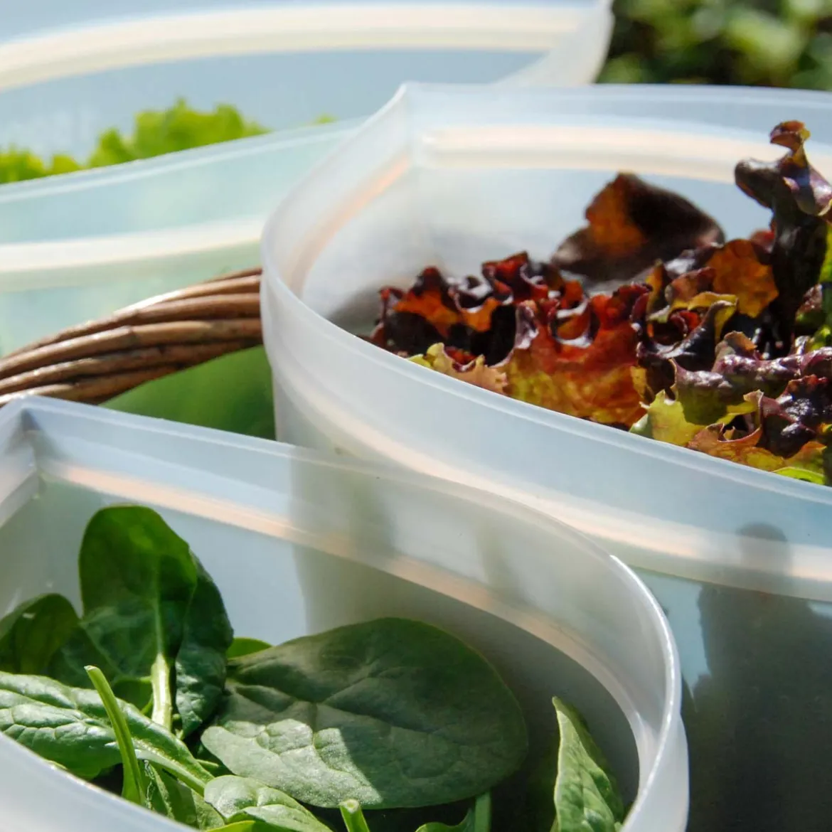 4 sacs de conservation alimentaire réutilisables