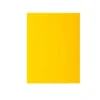 100 sous-chemises papier