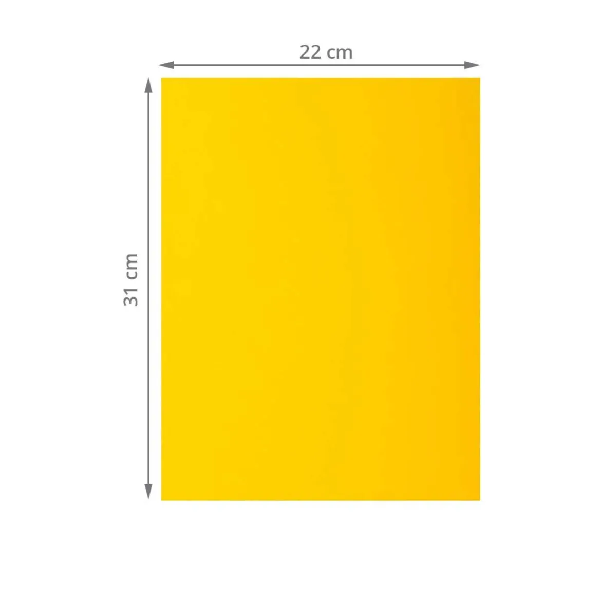 100 sous-chemises papier